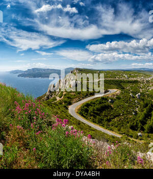 Route des Cretes, paesaggio, fiori, estate, la montagna, il mare, il mar Mediterraneo, La Ciotat, Var, Francia, Europa Foto Stock