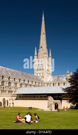 Regno Unito, Inghilterra, Norfolk, Norwich, Cattedrale dal verde Foto Stock