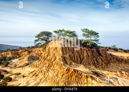 Broken Hill a Torrey Pines Riserva Naturale Statale. La Jolla, California, Stati Uniti. Foto Stock