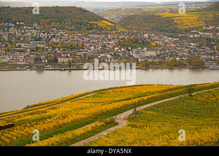 Bingen Germania Europa Hessen Valle del Reno vigneti panorama Palatinato Renania Rhinegau Rüdesheim patrimonio mondiale culturale il suo Foto Stock