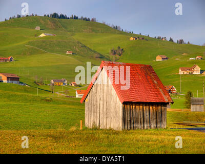 La Svizzera, Europa, Appenzell, fattorie, Gonten, verde siepe, hill, rurale, rosso, prato, Foto Stock