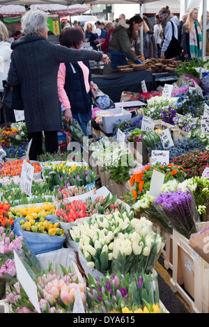Venditore di fiori sul Portobello Rd market - London W11 - REGNO UNITO Foto Stock