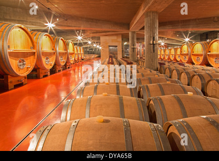 TRNAVA, Slovacchia - 3 Marzo 2014: coperta della moderna cantina di vini di grande produttore slovacco 'Mrva e Stanko'. Foto Stock