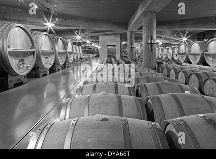 TRNAVA, Slovacchia - 3 Marzo 2014: coperta della moderna cantina di vini di grande produttore slovacco 'Mrva e Stanko'. Foto Stock