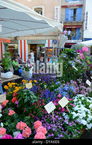 Europa, Francia, Sud, Provenza, Apt, Market, mercato dei fiori Foto Stock