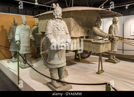 Guerrieri di Terracotta, le repliche di sculture, manufatti cinesi Museum, il Centro Culturale Cinese a Calgary, Alberta, Canada Foto Stock