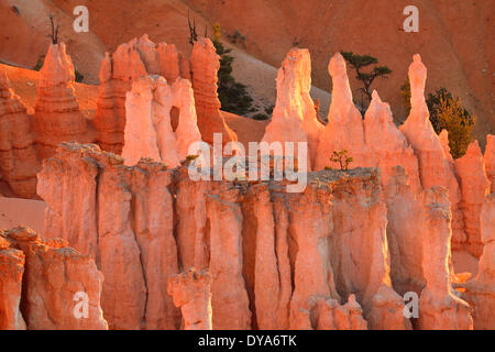 USA America Stati Uniti Utah Colorado Plateau southern Cedar Breaks National Monument canyon paesaggio erosione di natura non peo Foto Stock