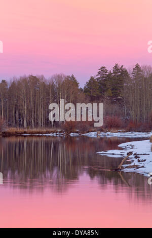 Tramonto in inverno acqua fiume creek brook willow salici red willow aspen snow ice riva riva del fiume Deschutes piegare o o Foto Stock