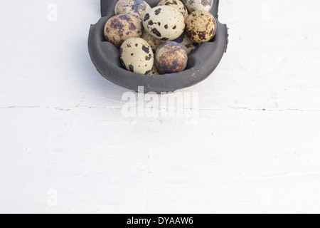 Uova di quaglia sono piccole e colorate. Essi possono essere consumate crude o cotte. Le uova di quaglia sono in una scatola di cartone. Foto Stock