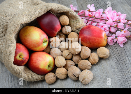 Sacco di dado e la mela Red Delicious con fiori Foto Stock