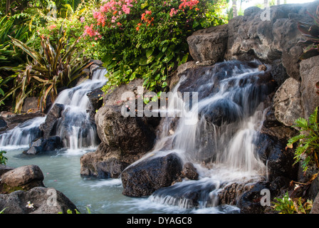 Una piccola cascata in Hawaii Foto Stock