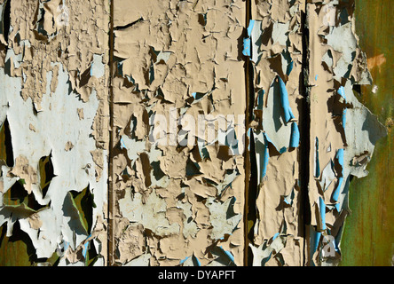 La pelatura di vernice sulla porta di legno. Brown, crema, blu, verde. Foto Stock