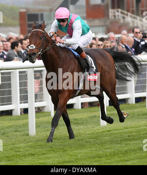 Newbury, Regno Unito. Xii Apr, 2014. Kingman sotto James Doyle vince l'Aon Greenham picchetti durante il Dubai Duty Free e nuova alle corse al giorno a Newbury Racecourse Credito: Azione Sport Plus/Alamy Live News Foto Stock