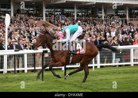 Newbury, Regno Unito. Xii Apr, 2014. Kingman sotto James Doyle vince l'Aon Greenham picchetti durante il Dubai Duty Free e nuova alle corse al giorno a Newbury Racecourse Credito: Azione Sport Plus/Alamy Live News Foto Stock