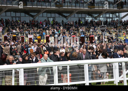 Newbury, Regno Unito. Xii Apr, 2014. La folla folla intorno alle tabelle di scommesse durante il Dubai Duty Free e nuova alle corse al giorno a Newbury Racecourse Credito: Azione Sport Plus/Alamy Live News Foto Stock