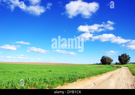 Vecchia strada in campo agricolo Foto Stock