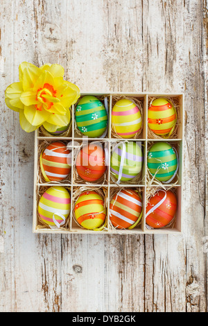 Uova colorate in una scatola con daffodil Foto Stock