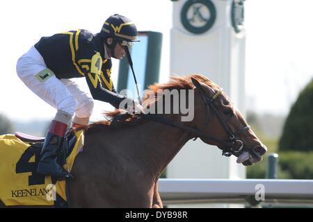 Lexington, KY, Stati Uniti d'America. Xii Apr, 2014. Aoril 12, 2014: Judy la bellezza e il jockey John Velazquez vincere il G1 Madison S. a Keeneland per il proprietario e il trainer Wesley Ward.Jessica Morgan/ESW/CSM/Alamy Live News Foto Stock