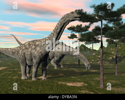 Dinosauro Argentinosaurus pascolare sulle cime degli alberi. Foto Stock