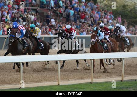 Hot Springs, AR, Stati Uniti d'America. Xii Apr, 2014. Aprile 12, 2014: Il campo durante il funzionamento dell'Arkansas Derby a Oaklawn Park in Hot Springs, AR. Justin Manning/ESW/CSM/Alamy Live News Foto Stock