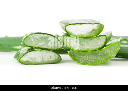 Aloe vera affettato isolati su sfondo bianco Foto Stock