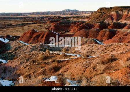 Neve si trova sulle colline del Deserto Dipinto Arizona in inverno Foto Stock