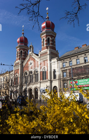 Plzen la Grande Sinagoga Pilsen Repubblica Ceca Foto Stock