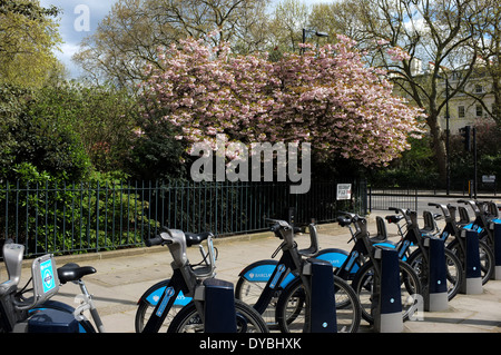 Belgrave place City of Westminster London SW1 uk 2014 Foto Stock