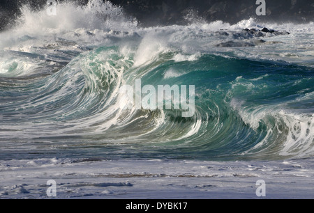 Onde gigantesche break a Waimea Bay Beach, North Shore Oahu, Hawaii, STATI UNITI D'AMERICA Foto Stock