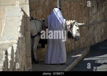 Uomo in arabo tunica e asino, Gerusalemme, Israele Foto Stock