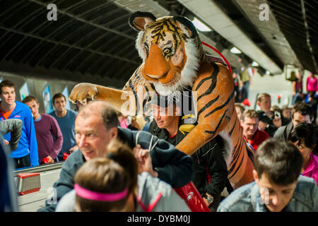 Londra, Regno Unito. Xiii Apr, 2014. Paul GOLDSTEIN si unisce agli altri concorrenti con la metropolitana e il treno con un 8ft tiger che egli correrà con allo scopo di raccogliere fondi per i progetti della tigre in India. Ogni immagine/avvistamento di Paolo inviato in esodo.co.uk genererà 2 sterline in sponsorizzazione da Opticron. La maratona di Londra inizia a Greenwich su Blackheath passa attraverso Canary Wharf e finiture in the Mall. Londra, UK, 13 aprile 2014. Guy Campana, 07771 786236 guy@gbphotos. Foto Stock