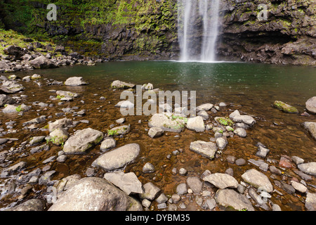 Un piccolo lago sul fondo di Hanakapi'ai rientri in Kau, Hawaii. Foto Stock
