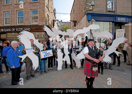 La fauna selvatica i manifestanti contro l avvelenamento degli uccelli rapaci in Inverness-shire Highlands Scozzesi. SCO 9036. Foto Stock