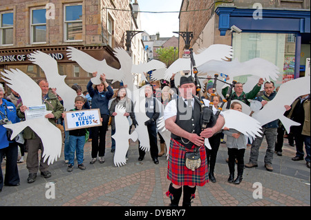 La fauna selvatica i manifestanti contro l avvelenamento degli uccelli rapaci in Inverness-shire Highlands Scozzesi. SCO 9037. Foto Stock