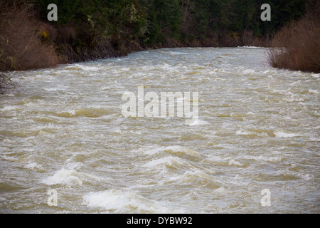 Acqua alta river rapids su willamette in Oregon. Foto Stock