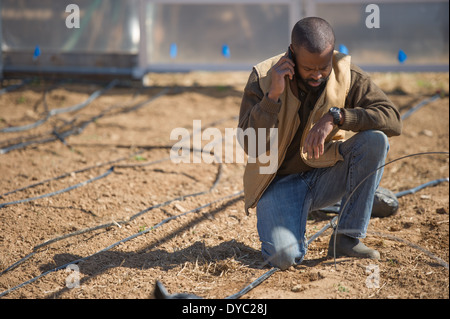 African American Farmer esaminando il sistema di irrigazione e parlando al cellulare Foto Stock