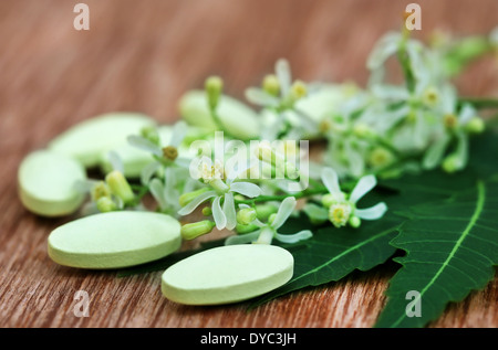 Pillole fatte dai medicinali di foglie di neem e fiore Foto Stock