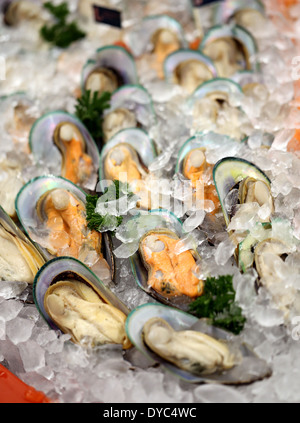 Le cozze in gusci i laici sul ghiaccio nella finestra Foto Stock