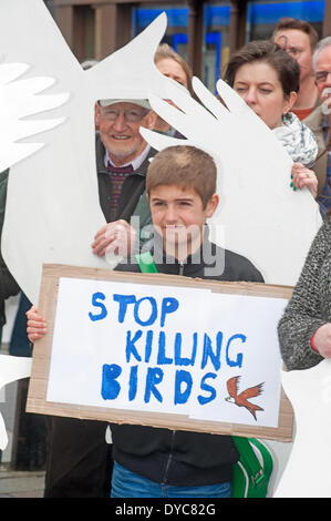 La fauna selvatica i manifestanti contro l avvelenamento degli uccelli rapaci in Inverness-shire Highlands Scozzesi. Foto Stock