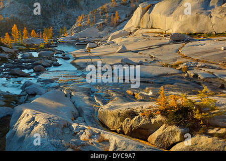 Un torrente scorre attraverso il granito e il larice (Larix lyallii) in Alpine Lakes Wilderness incantesimi sezione Washington USA caduta. Foto Stock