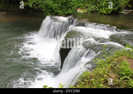 Bella rapids tra vegetazione vicino a Monte Gelato cascate. Roma, Italia Foto Stock