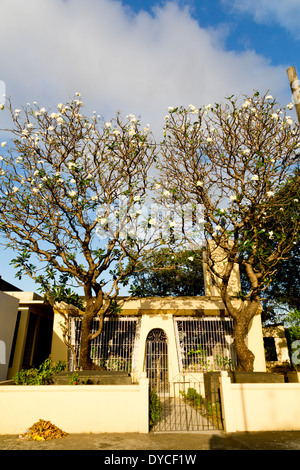 Tipico mausoleo del Cimitero cinese a Manila nelle Filippine Foto Stock