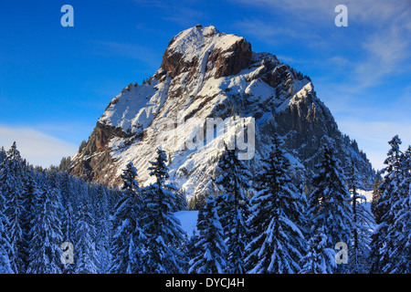 Alpi panorama alpino valle alpina vista montagne di montagna del massiccio panorama di montagna alberi abete rosso di pini di montagna i vertici pe Foto Stock