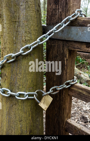 Fattoria incatenati e bloccato. Foto Stock