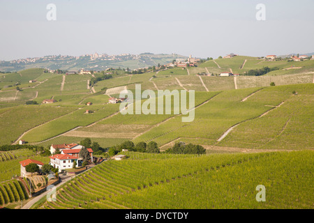 Vigneti e il panorama dal castello di BAROLO, barolo village, cuneo, Langhe, PIEMONTE, ITALIA, EUROPA Foto Stock