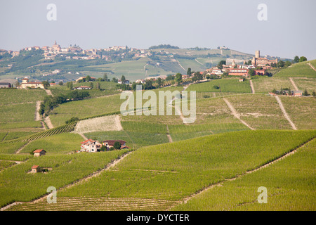 Vigneti e il panorama dal castello di BAROLO, barolo village, cuneo, Langhe, PIEMONTE, ITALIA, EUROPA Foto Stock