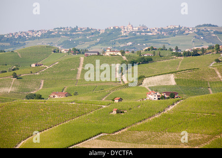 Vigneti e il panorama dal castello di BAROLO, barolo village, cuneo, Langhe, PIEMONTE, ITALIA, EUROPA Foto Stock