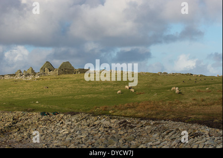 In pietra a secco costruiti derelitti croft sull isola di Bressay, isole Shetland. Foto Stock