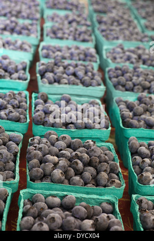 Scatole di mirtilli in cartoni verde al mercato degli agricoltori Foto Stock