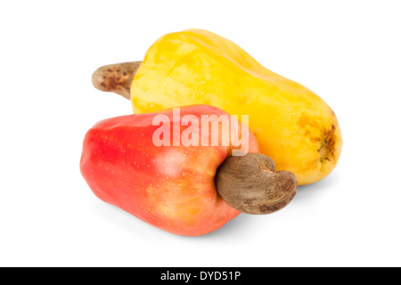 Fresche e mature Caju brasiliana anacardi frutto con il percorso Foto Stock